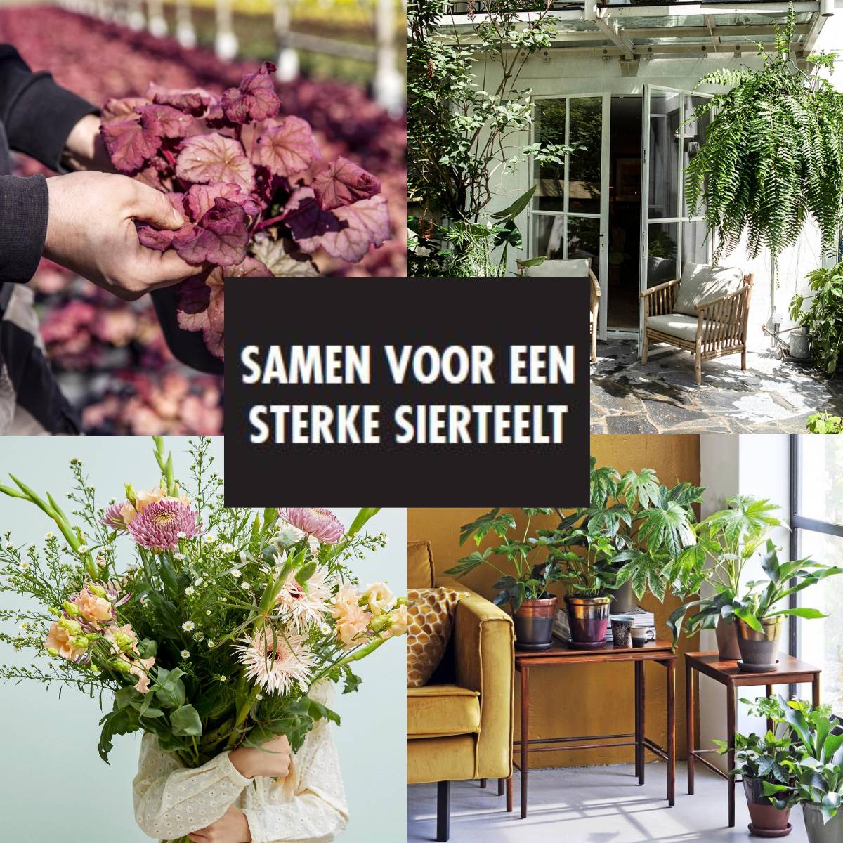 Samen voor een sterke sierteelt