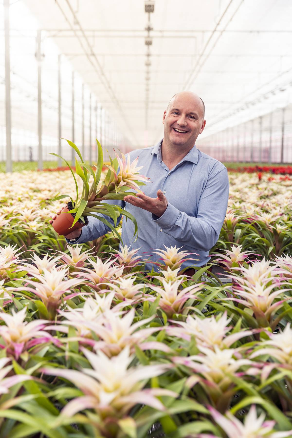 20230224-BBH-Bromelia Specialst-3842-Web