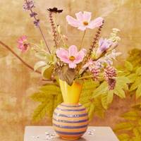 Achillea - Aquilegia - Asclepias - Cosmos - Freesia