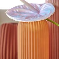 Adiantum raddianum - Anthurium (Andreanum Grp)