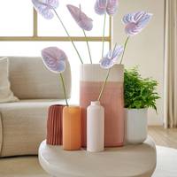 Adiantum raddianum - Anthurium (Andreanum Grp)