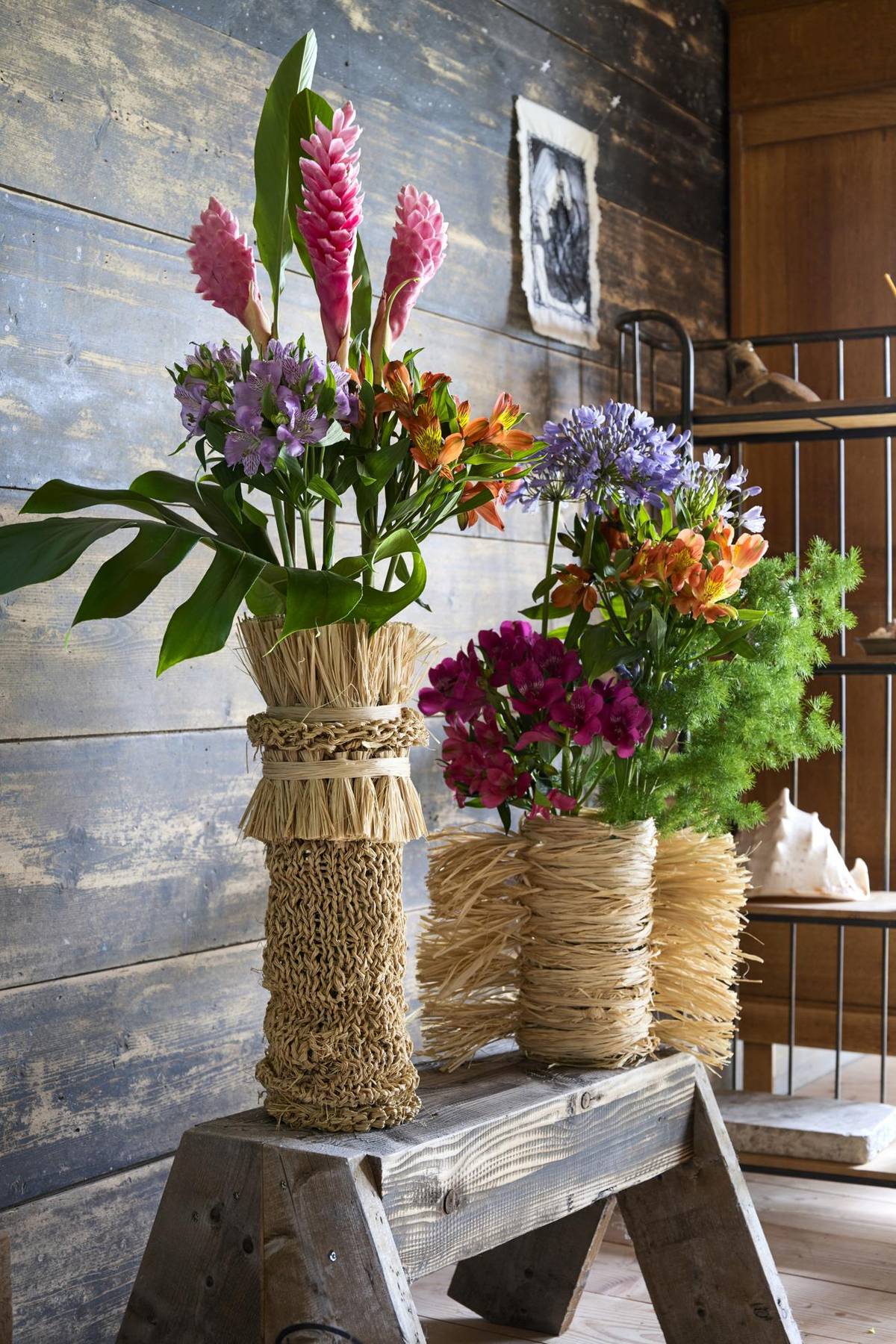 Agapanthus - Alstroemeria - Asparagus_thumbnail