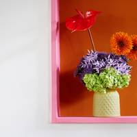 Allium - Anthurium (Andreanum Grp) - Calendula officinalis - Trachelium caeruleum