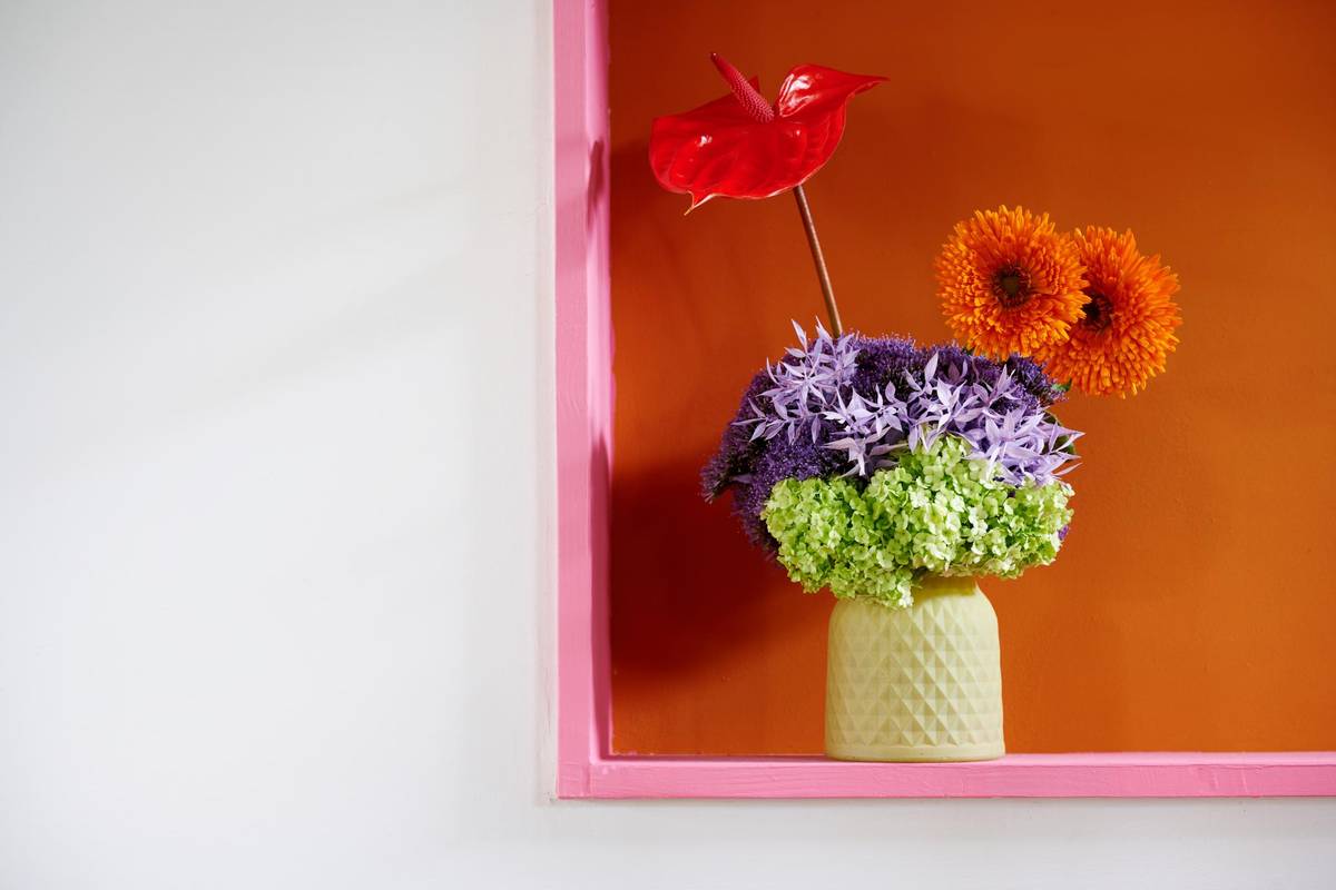 Allium - Anthurium (Andreanum Grp) - Calendula officinalis - Trachelium caeruleum_thumbnail