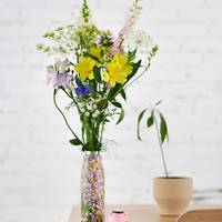 Alstroemeria