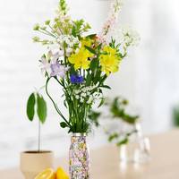 Alstroemeria