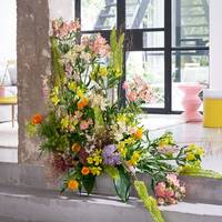 Alstroemeria