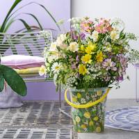Alstroemeria