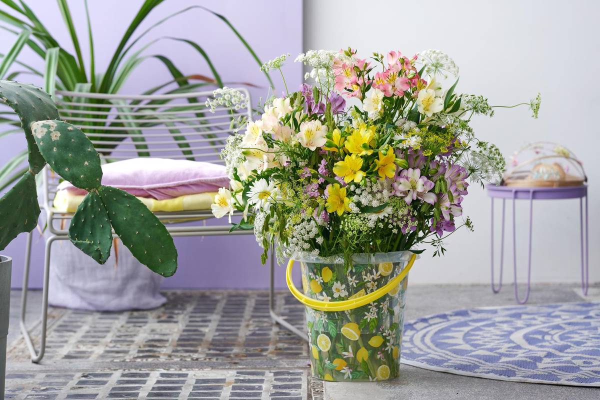 Alstroemeria - 7_thumbnail