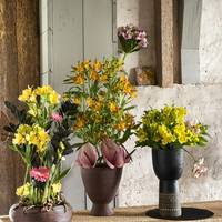 Alstroemeria - Anthurium (Andreanum Grp)