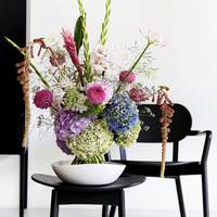 Amaranthus - Ammi - Gladiolus (large flowering) - Hydrangea macrophylla - Nerine (Bowdenii Grp)