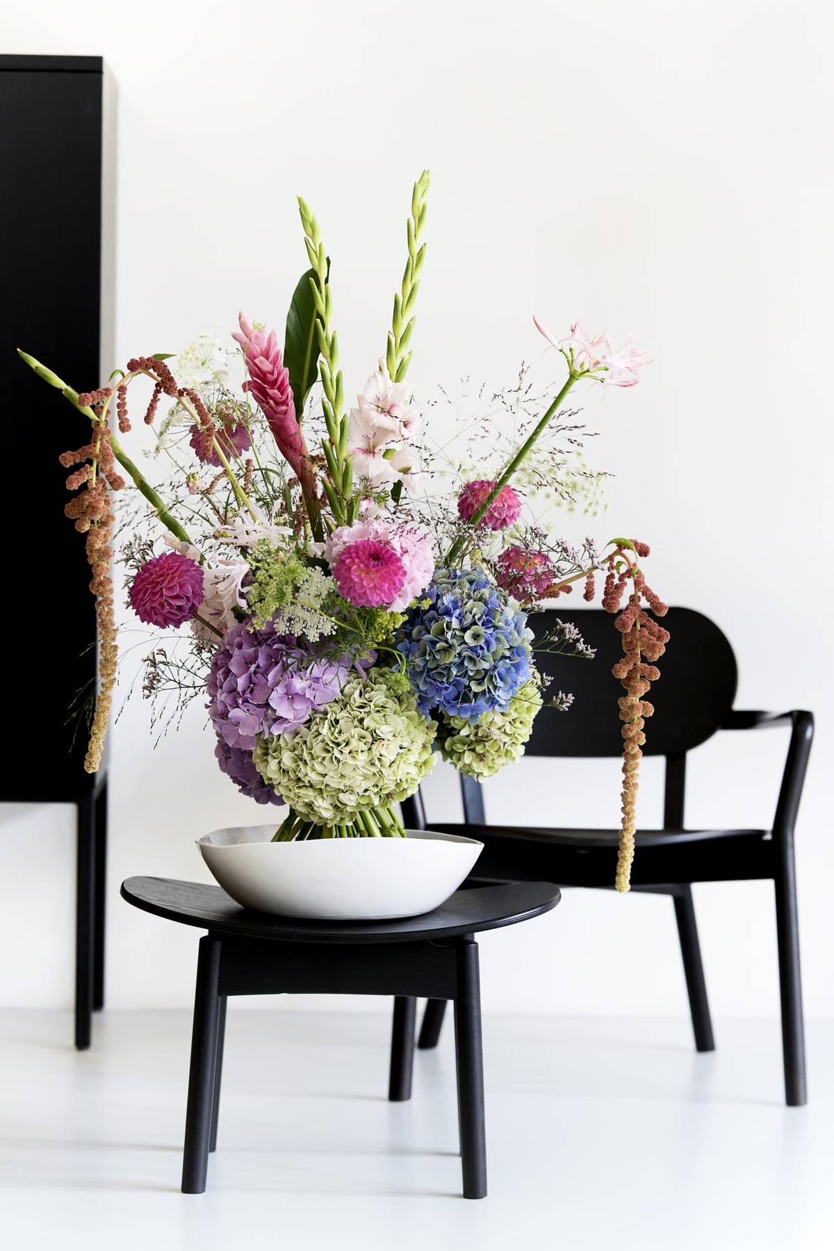 Amaranthus - Ammi - Gladiolus (large flowering) - Hydrangea macrophylla - Nerine (Bowdenii Grp)_thumbnail