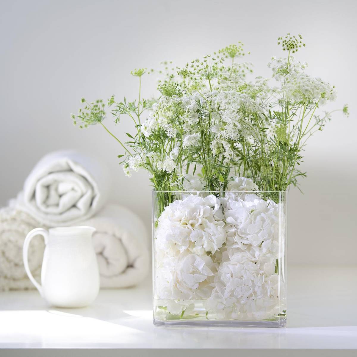 Amni - Hydrangea macrophylla_thumbnail