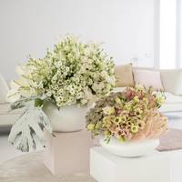 Anthurium (Andreanum Grp) - Astrantia major - Lisianthus russellianum
