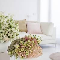 Anthurium (Andreanum Grp) - Astrantia major - Lisianthus russellianum