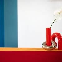 Anthurium (Andreanum Grp)