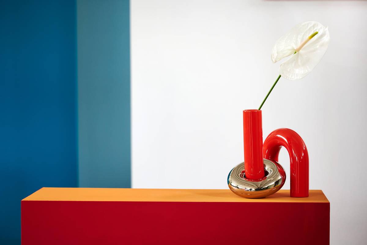 Anthurium (Andreanum Grp)_thumbnail