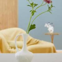 Aquilegia - Lathyrus