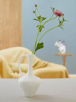 Aquilegia - Lathyrus_thumbnail