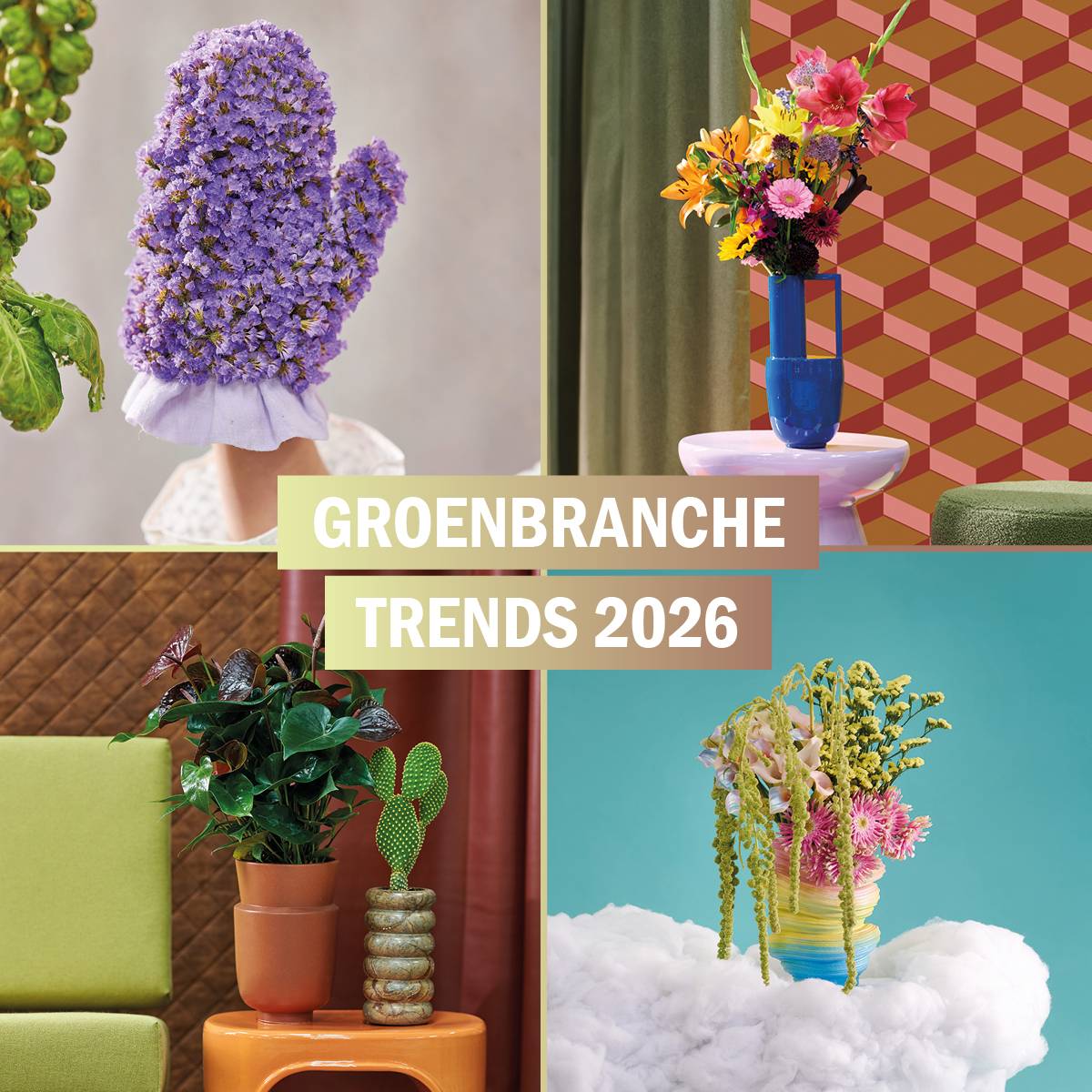 BBH_GROENBRANCHE TRENDS_KEYVISUAL 2026 NL_1200 x 1200