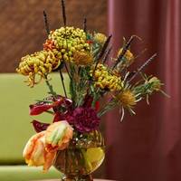 Banksia Dryandra (gedroogd) - Anthurium Choco - Tulipa Avignon Parrot - Chrysanthemum Fuego