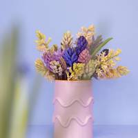 Hyacinthus