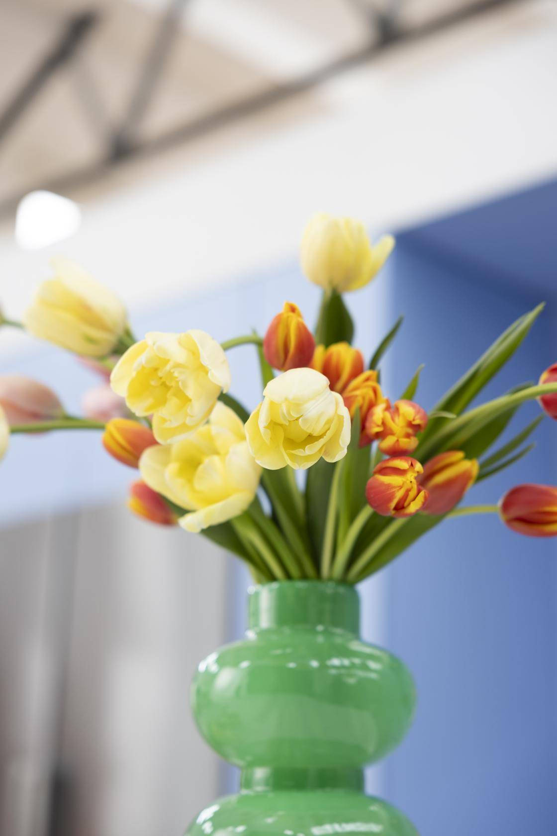Bloemenbureau-Tulipa-expiration_date-2029-03-07_thumbnail