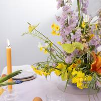 Narcissus - Iris - Tulipa - Anthurium - Delphinium - Matthiola incana - Fritillaria