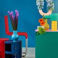 Calendula officinalis - Liatris spicata - Delphinium - Alchemilla mollis
