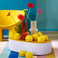 Chrysanthemum - Gerbera