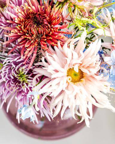 Chrysanthemum (Indicum Grp disbud)-3_thumbnail