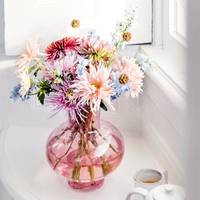Chrysanthemum (Indicum Grp disbud)