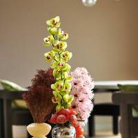 Cymbidium Fiona - Broom Broom (droog) - Protea Nutans Tango - Gerbera Spider Cream Spin