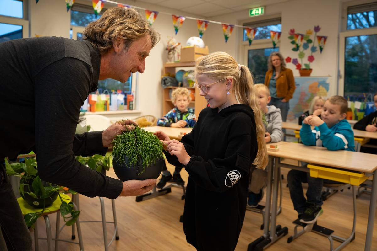 Plantenles GreenBee Foundation