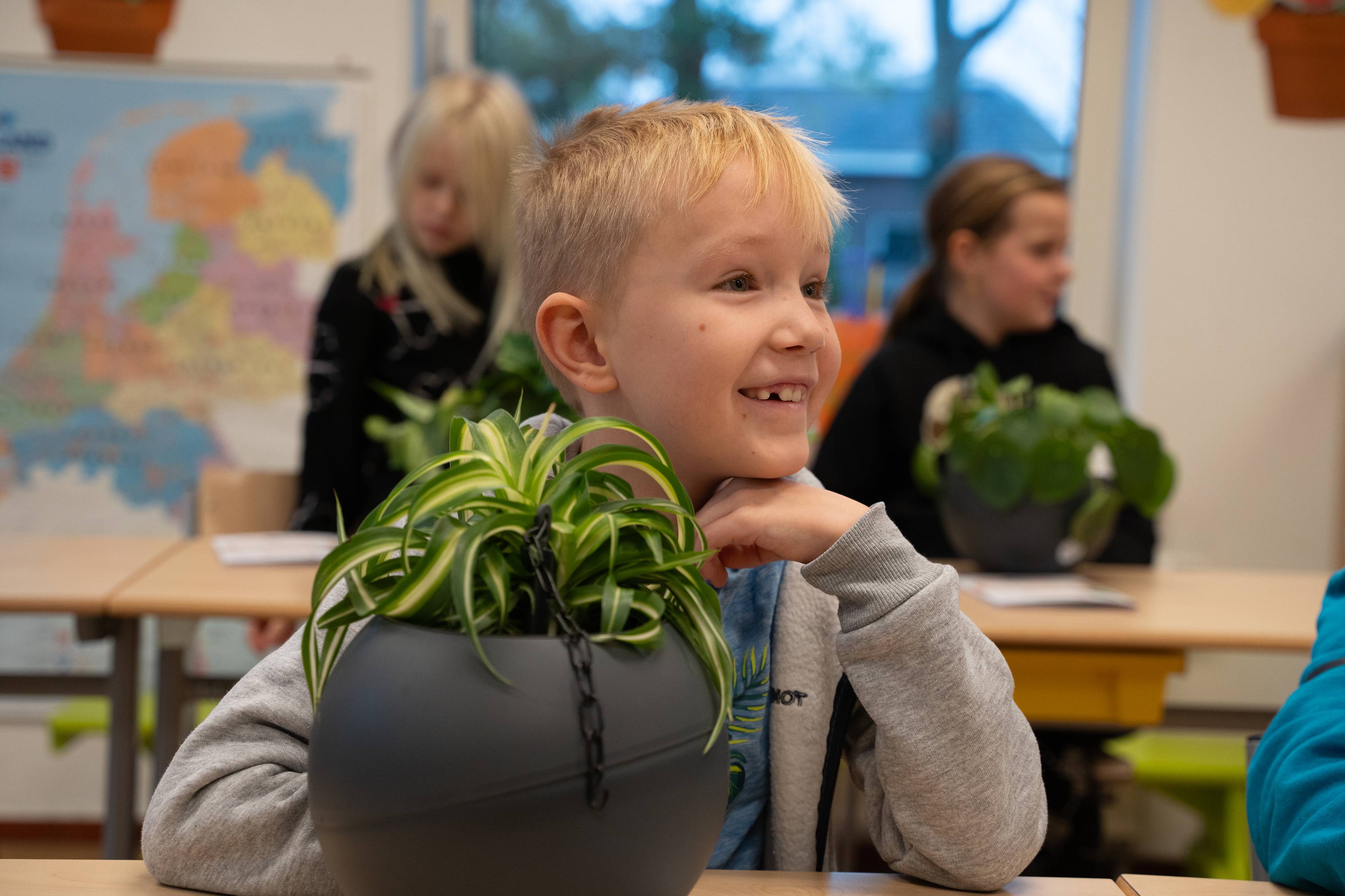 Greenbee Foundation plantenles
