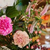 Dianthus - Hypericum
