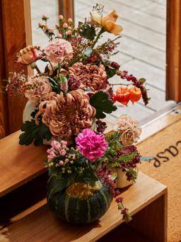 Dianthus - chrysanthemum - Hypericum_thumbnail