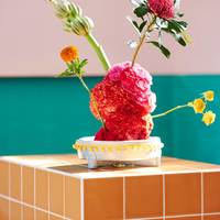 Dianthus caryophyllus - Tagetes (Erecta Grp) - Telopea speciosissima - Musa