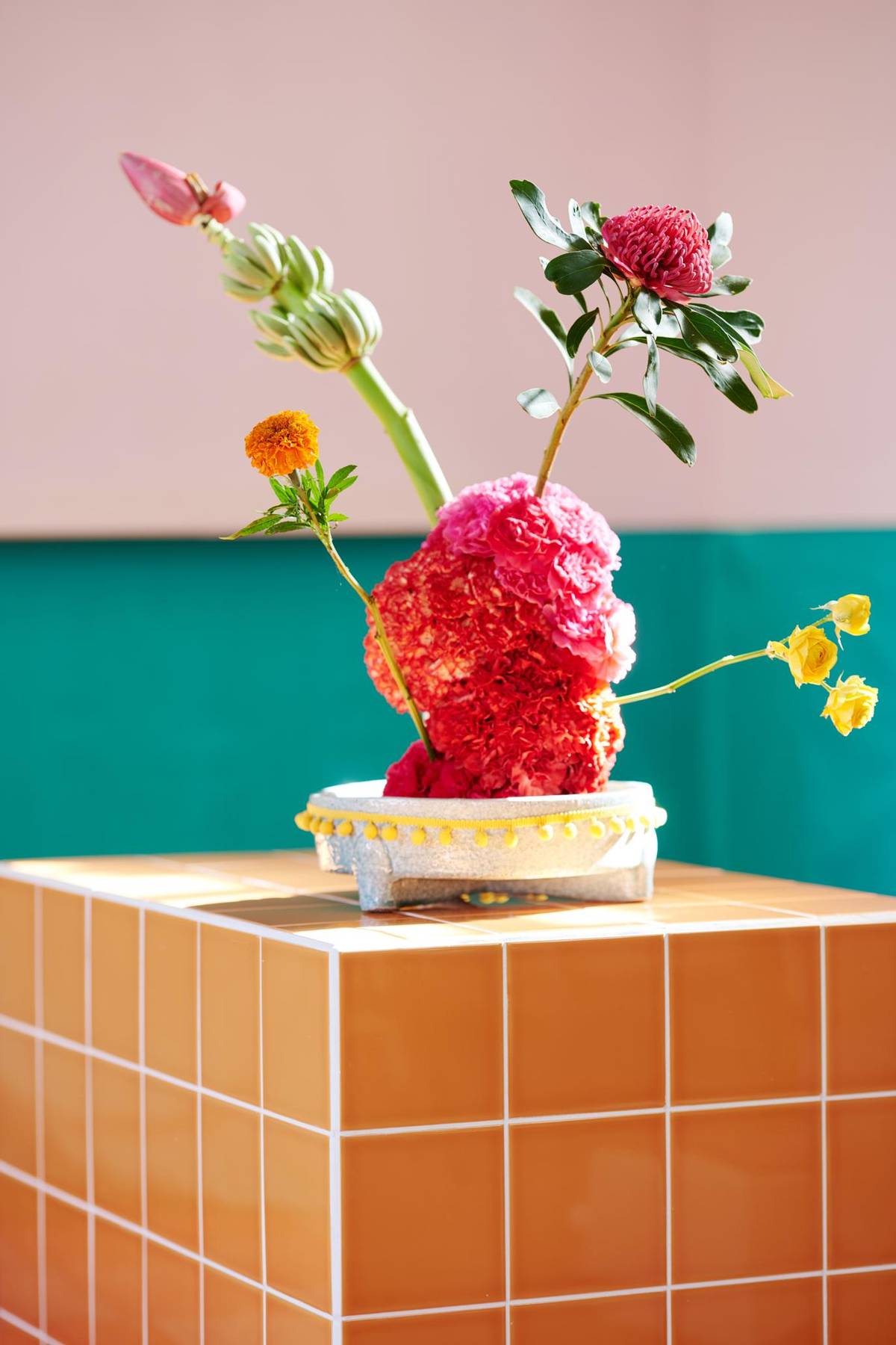 Dianthus caryophyllus - Tagetes (Erecta Grp) - Telopea speciosissima - Musa_thumbnail
