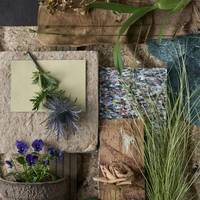 Eryngium - Carex - Rosa - Viola - cambria