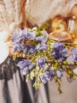 Freesia_thumbnail