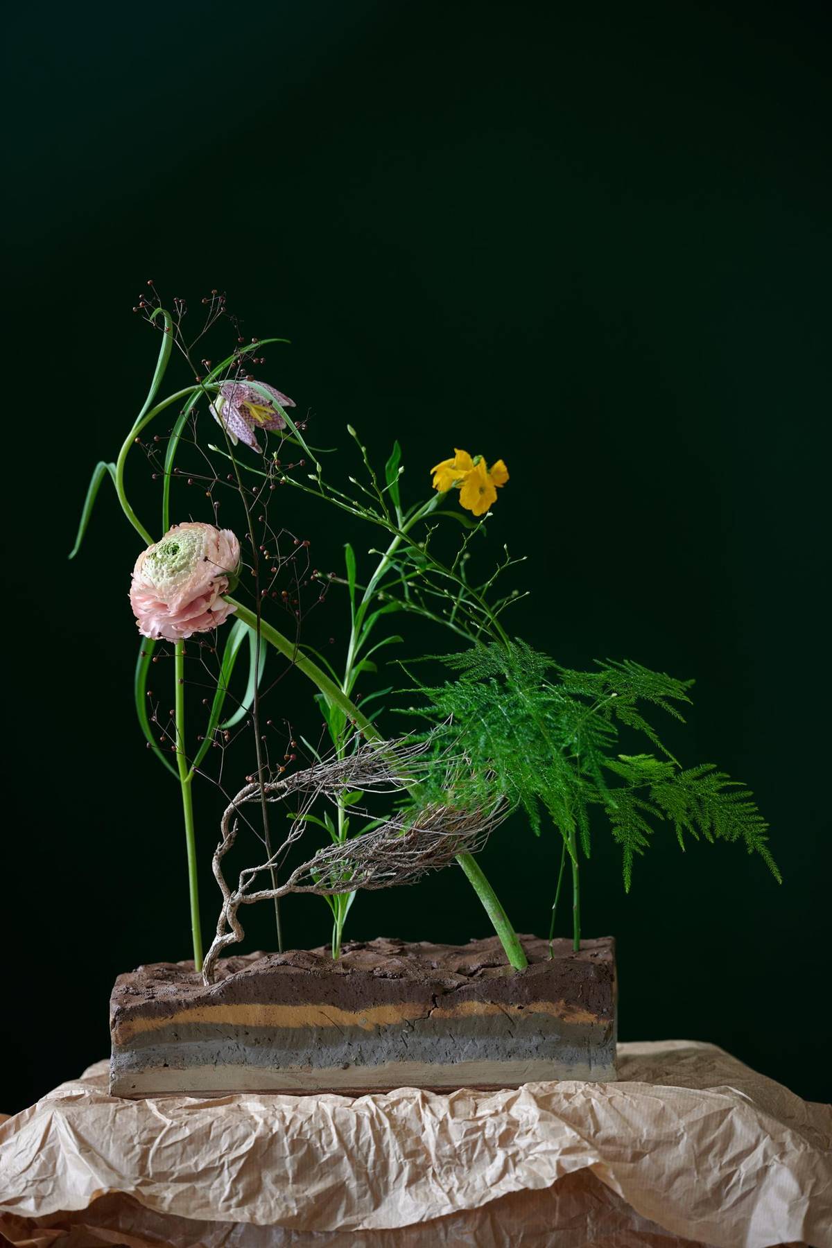 Fritillaria meleagris - Ranunculus - Asparagus setaceus - Thymus vulgaris_thumbnail
