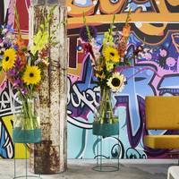 Gladiolus - Gladiolus (large flowering) - Helianthus annuus