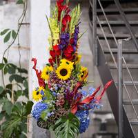 Gladiolus - Gladiolus (large flowering) - Helianthus annuus - Hydrangea macrophylla