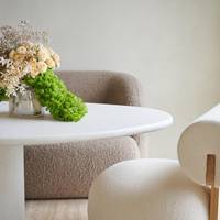 Gypsophila - Rosa (spray)