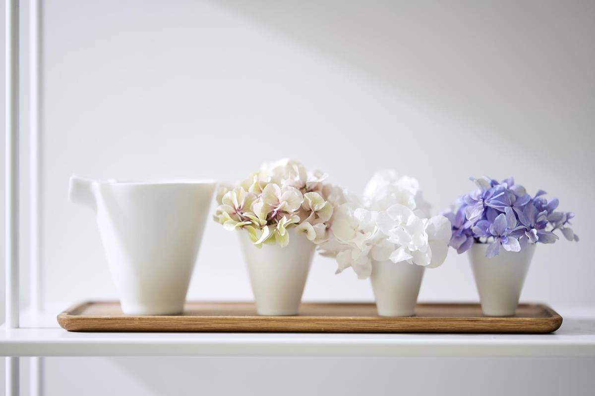 Hydrangea_thumbnail