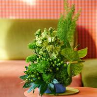 Asparagus Densiflorus Meyers Aralia Hypericum Coco Bamboo Chrysanthemum Alemani Dianthus barbatus Kiwi Mellow Anthurium Grand Slam 7°C Lisianthus db Rosanne Emerald