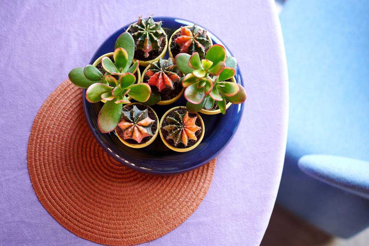 Intriguing Decor_trends_MED_12