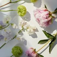 Lathyrus - Paeonia - Viburnum