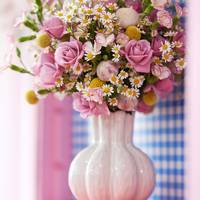 Craspedia Globosa Dianthus Solomio‘Tino’ Tanacetum parthenium Pure Kamille Rosa spray A-Lady